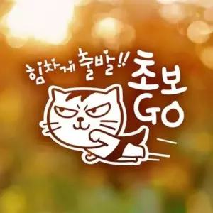 [CAR] 운전 시트지 반사 초보 스티커 자동차 스티커