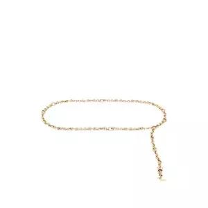 생로랑 로고 디테일 체인 벨트 859878J160W0537 TP453259875