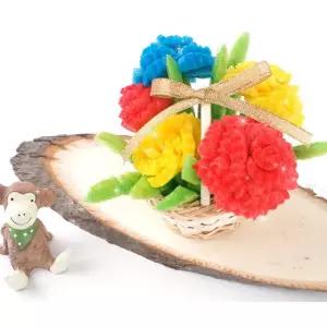 플레이콘 카네이션 꽃바구니 (5인용) 어버이날 스승의날 diy 만들기 키트 교구 단체 부모님 선물 선생님선