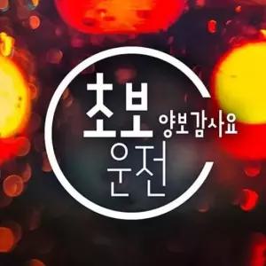 [CAR] 자동차스티커 초보운전 반사시트지 양보감사 문구 스티커