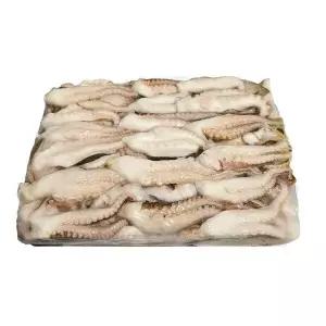 베트남 절단쭈꾸미 900g L 손질쭈꾸미 손질 냉동 X6개 2383219 J