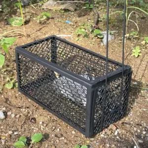 쥐퇴치 쥐잡기 쥐망 포획형 쥐덧 쥐트랩 쥐덫