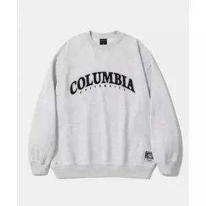 COLUMBIA UNIVERSITY STREET ARCH HEAVY TERRY CREW NECK_LIGHT GRAY 109387