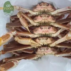 건담농수산 러시아 박달대게 자숙 선어 러시아산