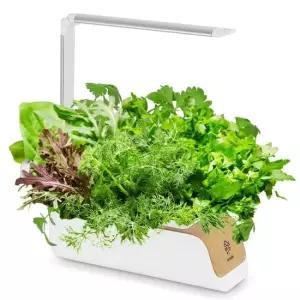 PTC온풍기 재배기 가정용 CYPP310 LED 채소