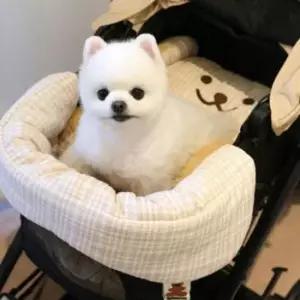 [반려] 차량 반려견 벨로아 쿠션 애견 베어 유모차 강아지