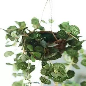 조화장식 싱그러운 초록색이 돋보이는 더가든 하트체인 바구니