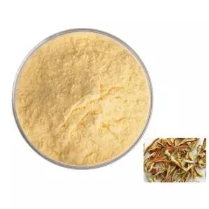 양파껍질추출분말 1kg