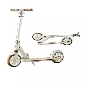 성인 접이식 킥보드 두발 출퇴근 휴대용 핸드브레이크