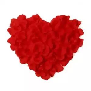 bns 조화 장미꽃잎 100장 파티소품 기념일 축제 WFLIPRM