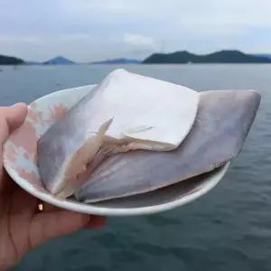 손질 병어 횟감1팩 500g(9미내외)