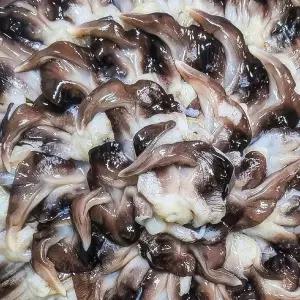 [NS홈쇼핑]검정새조개 1kg 손질후 200g 10~15미 내외[35841117]