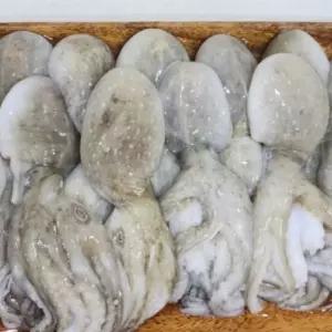 제철 냉동 쭈꾸미 4kg