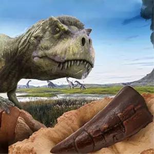 방학 심심풀이 공룡 화석찾기 발굴세트 초등저학년 집중력