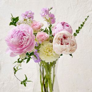 작약 생화 꽃다발 포장 특상급 보존제 꽃다발 선물하기