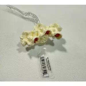 [크록스][] 10017043 팝콘 지비츠 (S45039674)