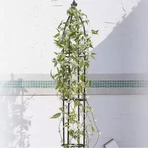 코스트코 타카쇼 오벨리스크 철제 덩굴시렁 슬림 1.6m