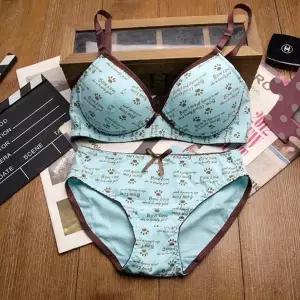 [2단계]레터링 민트85A 주니어속옷 주니어브라 세트