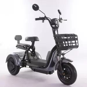 대형 세발전기자전거 세발자전거 삼륜 어르신 전기