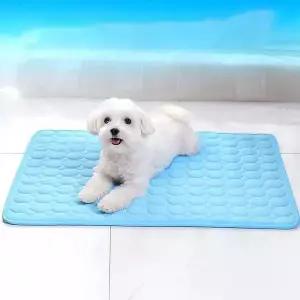 [에이치플러스몰]TBZ 온모어 고양이 강아지 쿨 매트 냉감 패드 방석 애견 여름 아이스