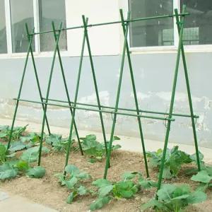 A형 넝쿨지지대 오이 고추 장미 토마토 지지대 식물