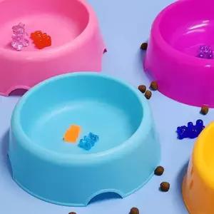 강아지밥그릇 물 사료 애견 고양이 그릇 식기