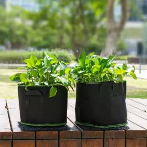 플로니엘 베란다 텃밭 대형 부직포 화분 2p세트(30x25cm) (블랙+그린) 텃밭 화분 베란다 화분 식물 재배