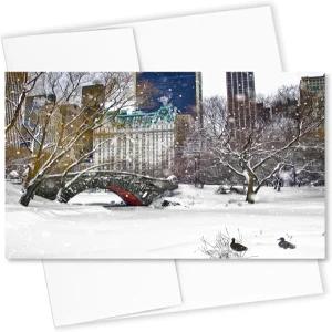 센트럴 파크의 러브 브리지 덕스 뉴욕시 홀리데이 인사말 카드 - 5x7 빈 내부 봉투가 포함된 프리미엄 재고