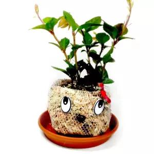 토피어리 중급 멋쟁이 만들기만들기 꾸미기 만들기놀이 만들기키트 만들기패키지 미술 장난감 어린이 공작