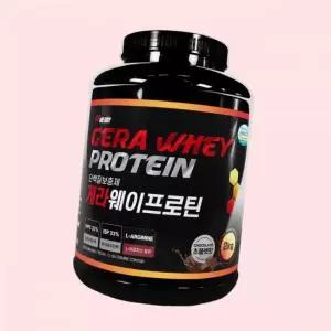 근육증가 살찌는 헬스 단백질보충제 게라웨이프로틴 2통 4608086