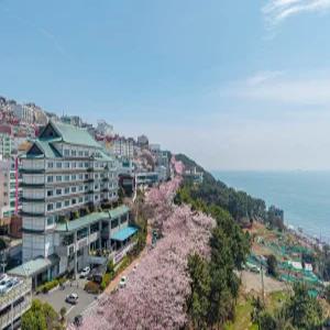 [부산 호텔] 해운대 호텔 일루아 (해운대,센텀시티,재송)