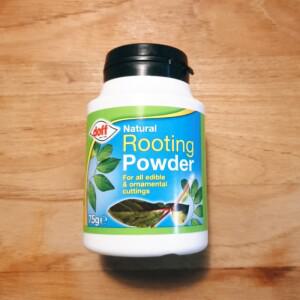 루팅 파우더 75g 뿌리 발근 영국산 삽목 접목 장미 다육 관엽