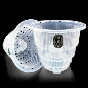 늘푸른연구소 투명 플라스틱 슬릿분 예쁜 프라스틱 호접란 분갈이 호접란전용 타공 구멍 슬릿 투명화분