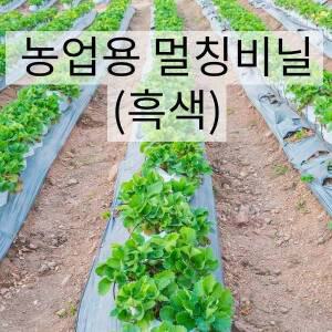 농업용 멀칭비닐 (0.02 X 90cm X 500m)
