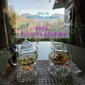 평창군 지원 택시투어 5탄! 광천선굴 & 보타닉가든&화이트크로우(당일)