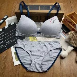 [2단계]바우와우 그레이80A 주니어속옷 주니어브라 세트