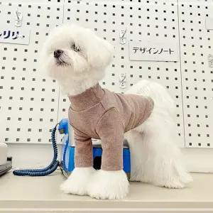 면티셔츠 터틀넥 강아지옷 그레이 CWE7F75B