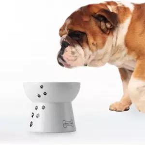 네코이치 반려견과 고양이를 위한 사료 그릇 높이 반려동물 공급기 소형견용 논슬립 식기세척기 및