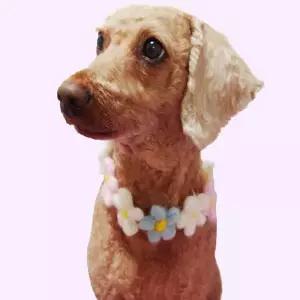 강아지꽃목걸이 반려견목걸이 S