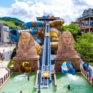 소노 전지점 choice 워터파크 종일권 (대인/소인 공통) 워터파크 물놀이/오션월드/오션어드벤처/오션플레이