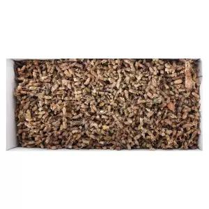 말린꼴뚜기(국산) 1.5kg 업소용 식당용 