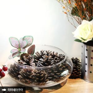 힐링 솔방울 가습기 베이직 200S/천연 가습/미니 어항