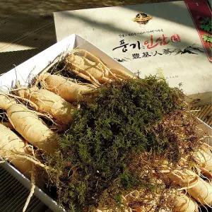풍기인삼 6년근 750g 원수삼(13~15뿌리)