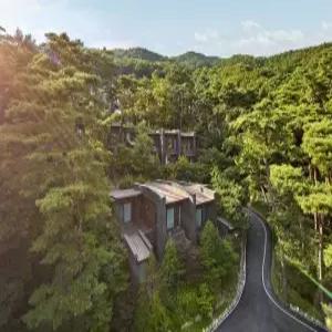 제천 포레스트 리솜