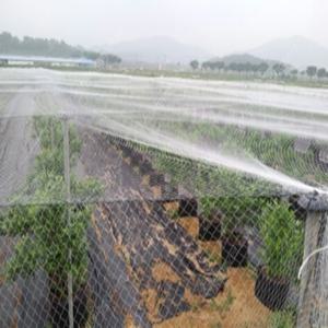 새망 그물 크기 2cm 소형 20m x 7m 대형 35m x 18m 새그물 참새망 방조그물 방조