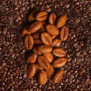 [촉촉만쥬] 커피콩빵 70g x 20봉 (총1.4kg)