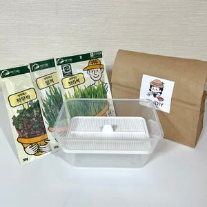 새싹채소 보리싹 밀싹 무순 키우기 키트 재배기