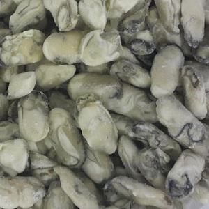 수출용 냉동굴1kg대짜/건조굴/생굴 보관용이