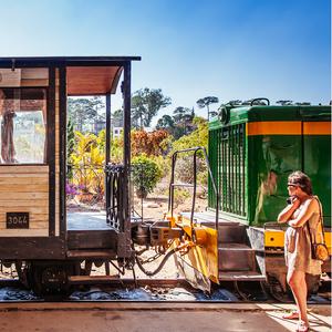 [스타인 달랏] 나트랑 출발 달랏 투어 (한국어 가이드+시내호텔픽업드랍무료+간식제공)