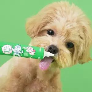 펫생각 강아지 바르는 치약 메론향 60g 입냄새 치석 제거 충치 잇몸 염증 예방 제거 관리 양치